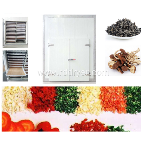 Fruit and vegetable continuous belt drying equipment